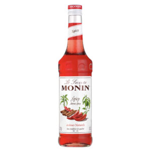 MONIN | Sirop de Spicy | 70 cl